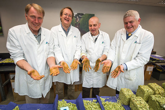 Once again, EHL Grower is Champion