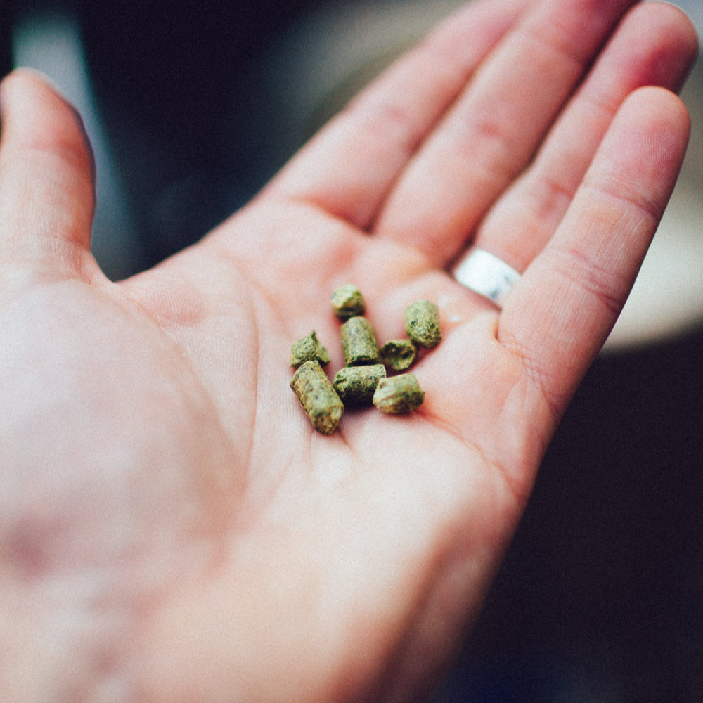 Admiral T90 Hop Pellets - 5Kg