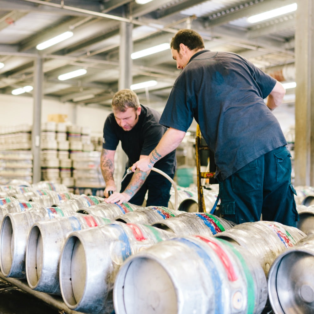 Professional Brewers with barrels of beer, containing beer that uses English Hops. British Hops.