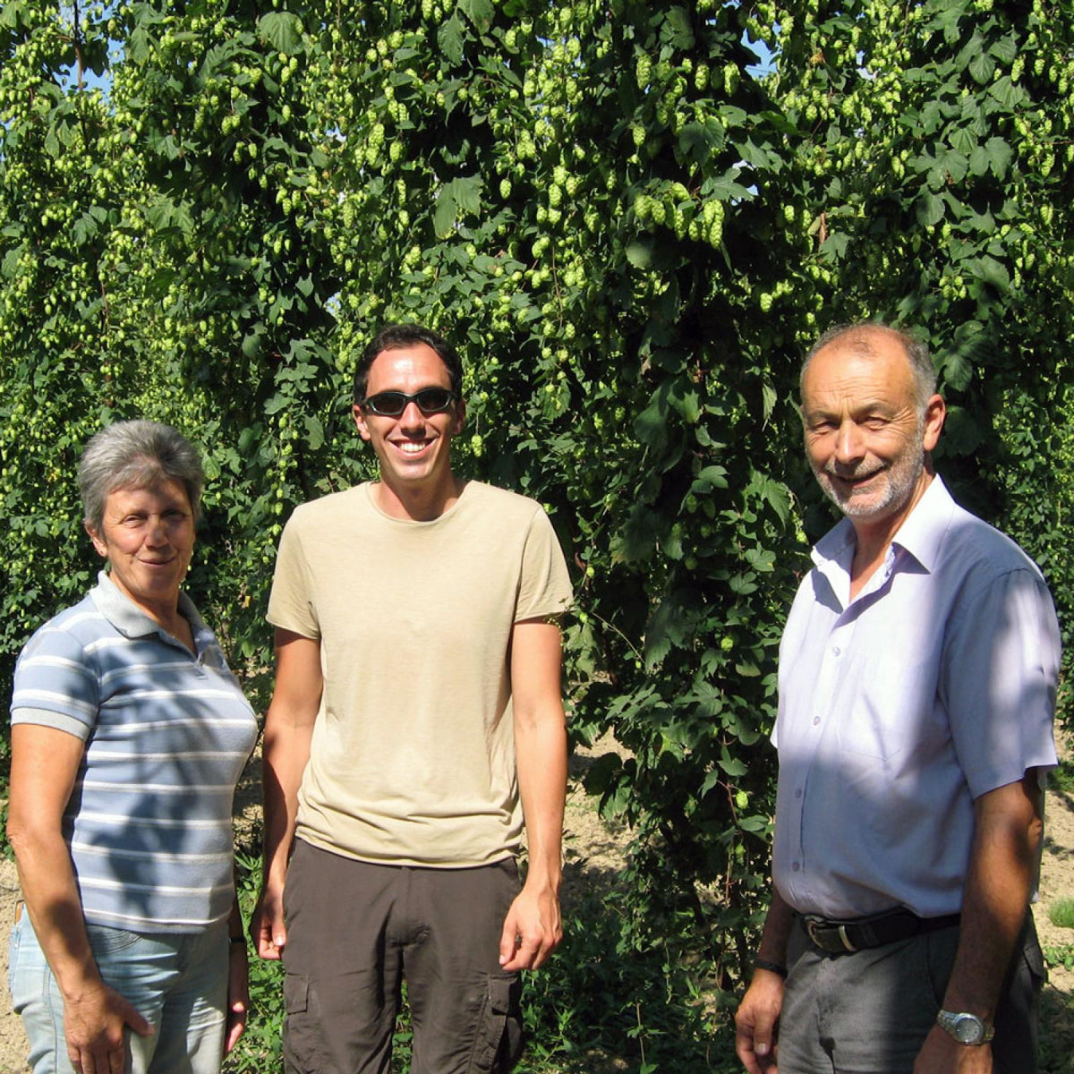 The Growers – English Hops